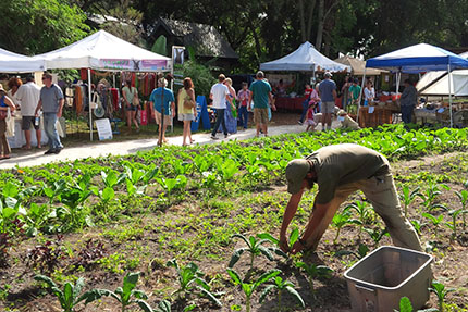 Sweetwater Farm Sunday Market