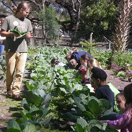 Sweetwater Farm Field Trip 